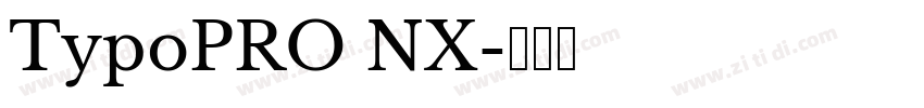 TypoPRO NX字体转换 TypoPRO NX字体转换
